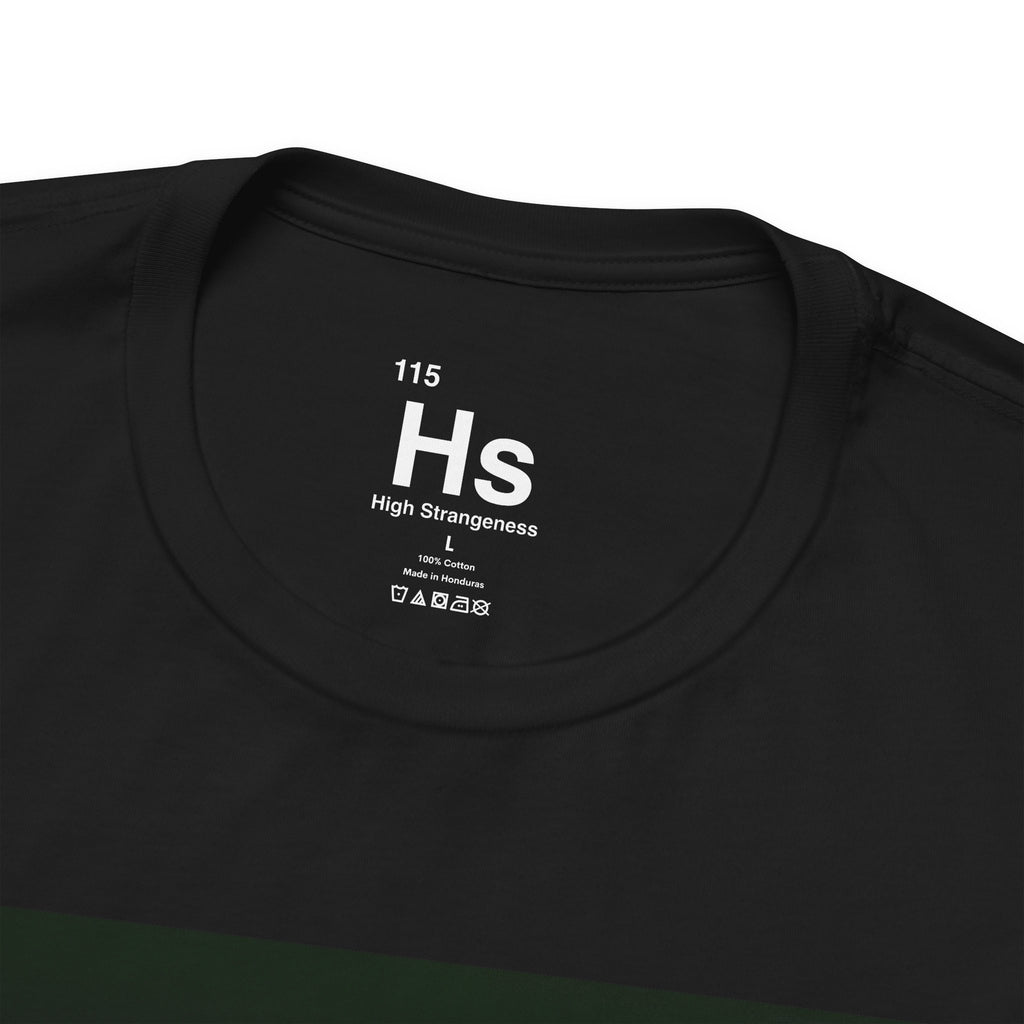 I Believe In The Kumburgaz UFO - I Wanna Believe - UFO Tee