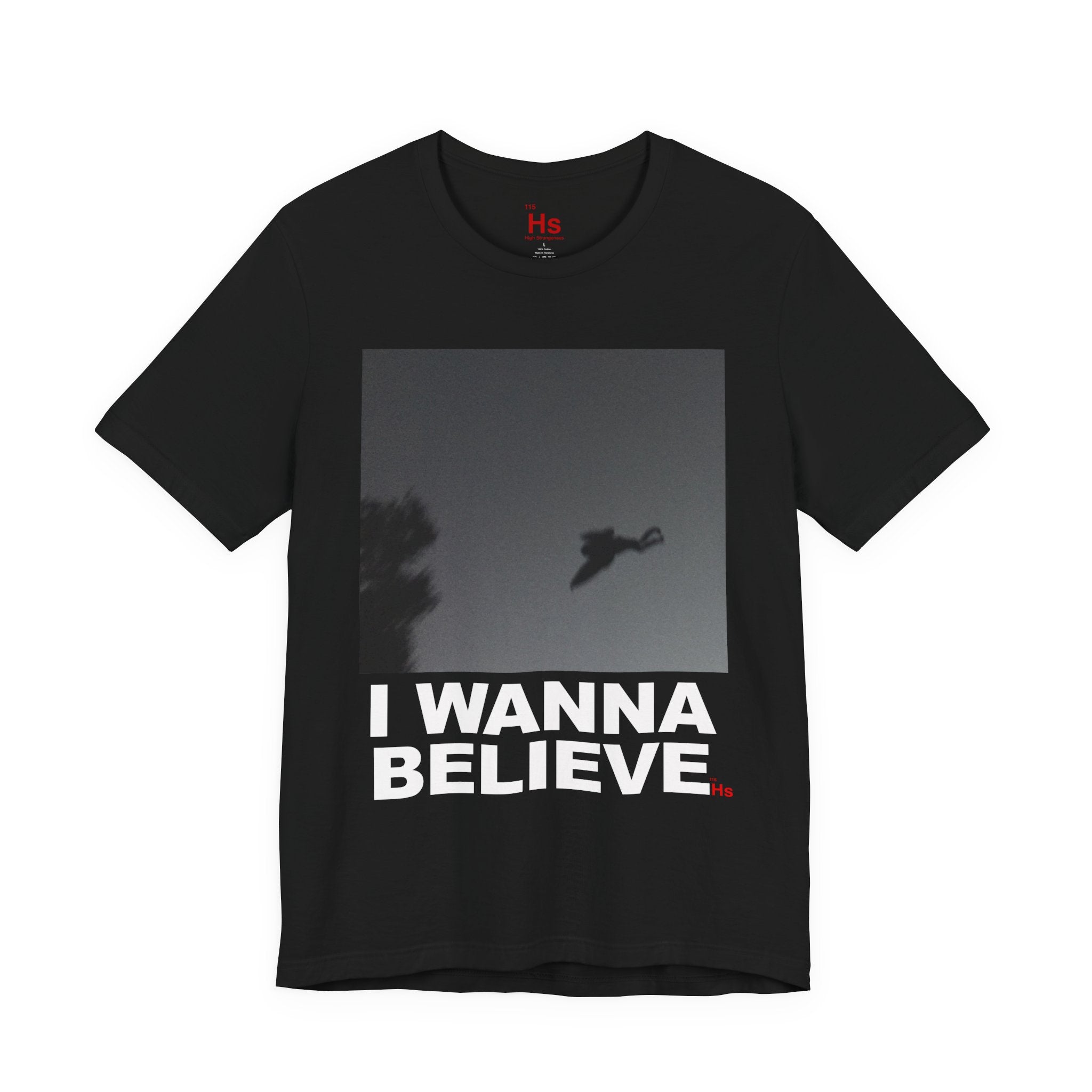 I Believe In Mothman - I Wanna Believe - Cryptid Tee