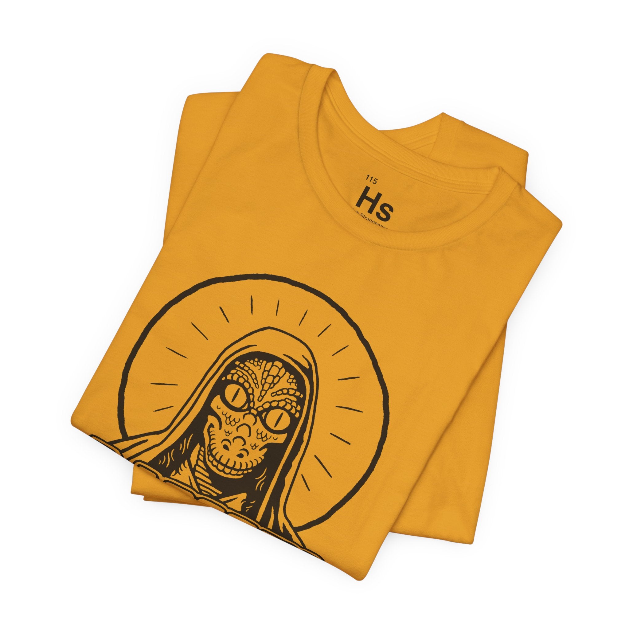 Lacerta Is My Homegirl - Retro 2000s Reptilian Alien Tee